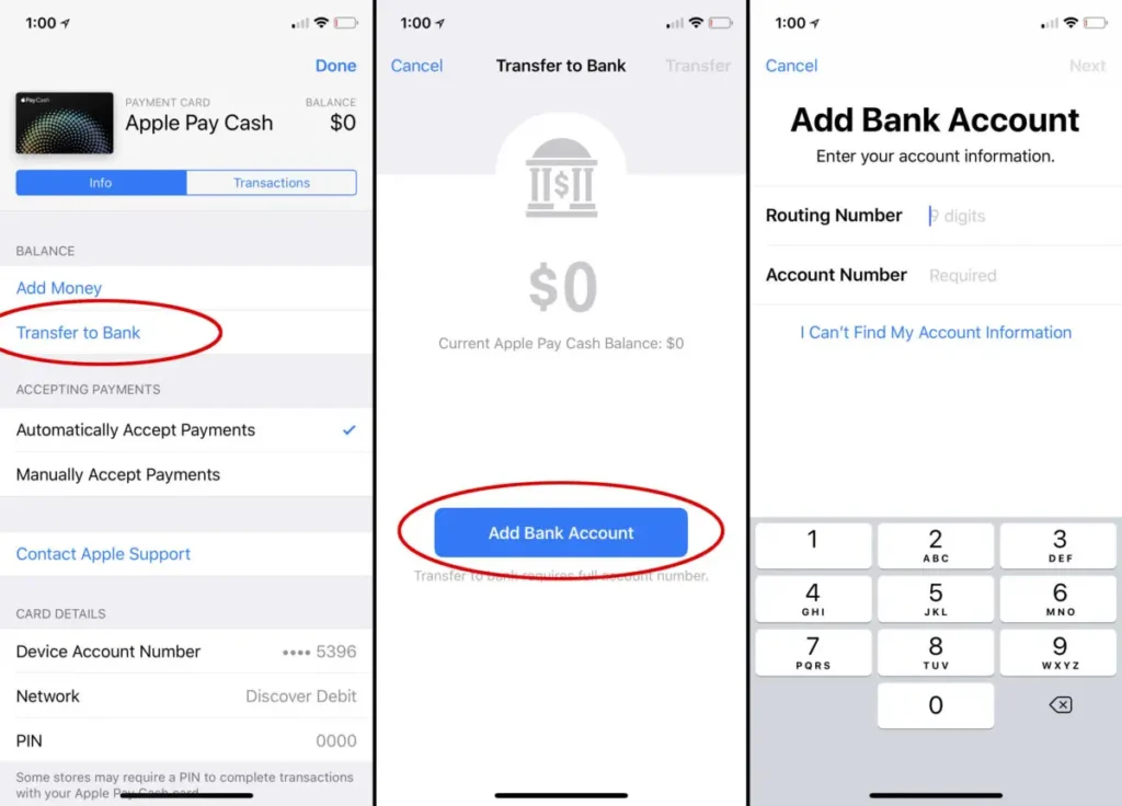 apple-pay-to-bank-cash-transfer